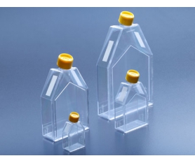 带揭膜式的细胞培养瓶25 - 300cm?