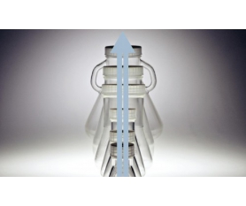 Thomson细胞培养优化瓶